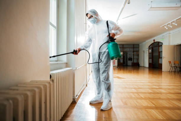 Best Best Pest Control Companies  in Amityville, NY